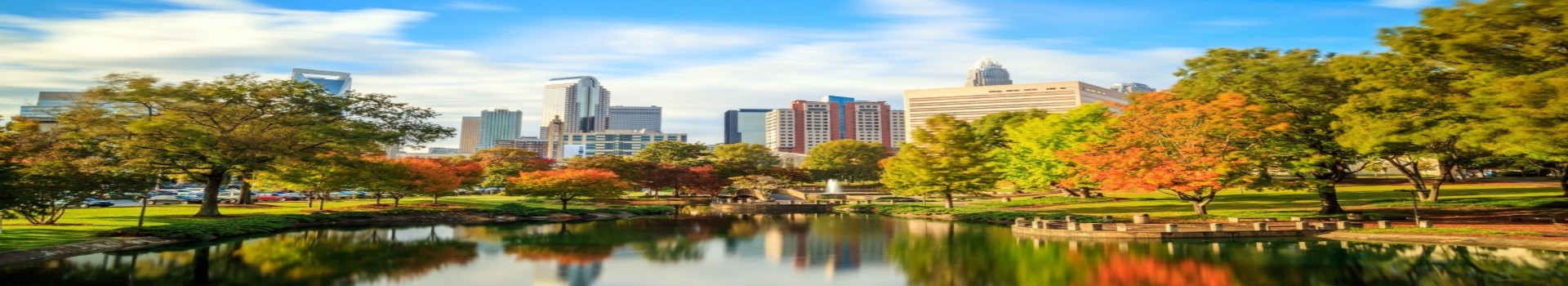 Image Banner default