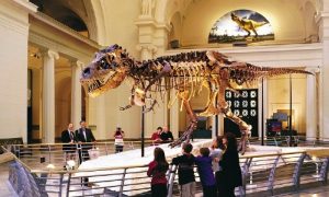 Vé máy bay từ TP. Hồ Chí Minh (SGN) đi Boston (BOS) giá rẻ