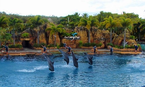 Vé máy bay từ Hồ Chí Minh đi Gold Coast