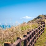 Vé máy bay Hồ Chí Minh đi Jeju giá rẻ