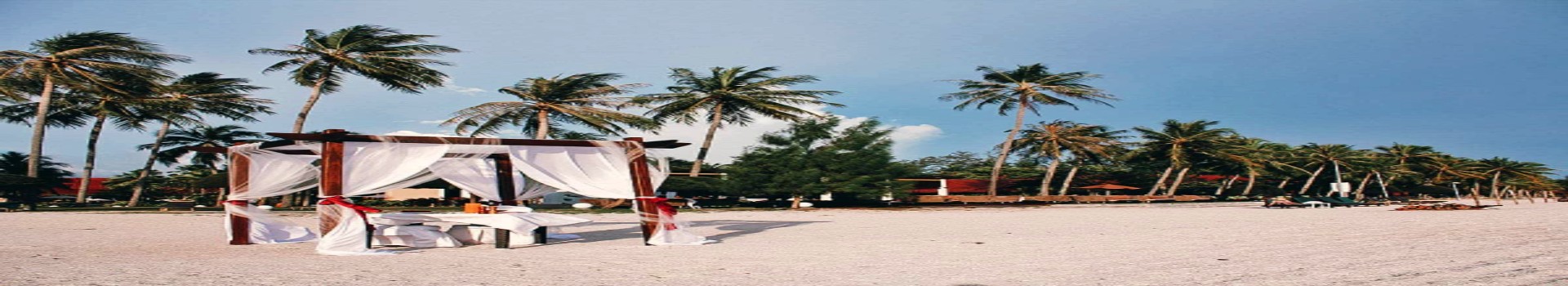 Image Banner default