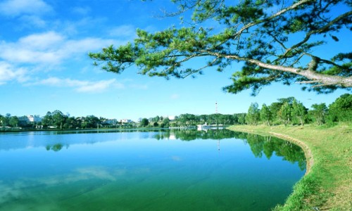 vé máy bay từ Cần Thơ đi Đà Lạt