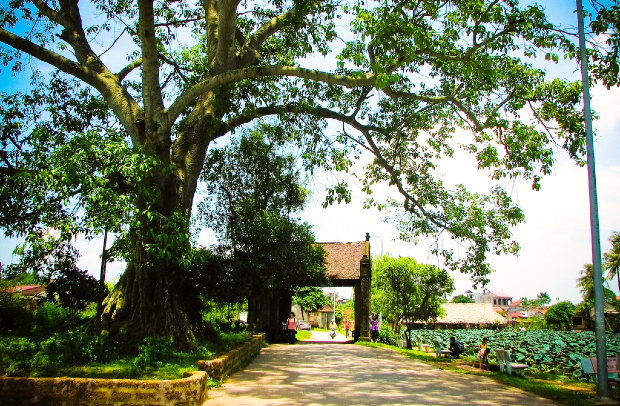 vé máy bay từ Chicago đi Hà Nội giá rẻ