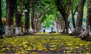 Vé máy bay từ Côn Đảo đi Hà Nội giá rẻ – Nhanh tay nhận khuyến mãi hấp dẫn tại Vietnam Booking