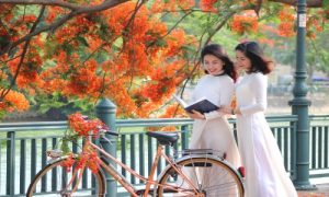 Vé máy bay Côn Đảo đi Hải Phòng giá rẻ