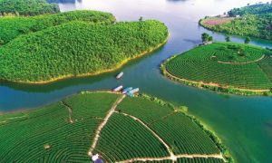 Vé máy bay Côn Đảo đi Vinh giá rẻ