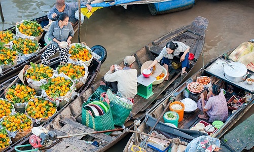 Vé máy bay từ Đà Lạt đi Cần Thơ