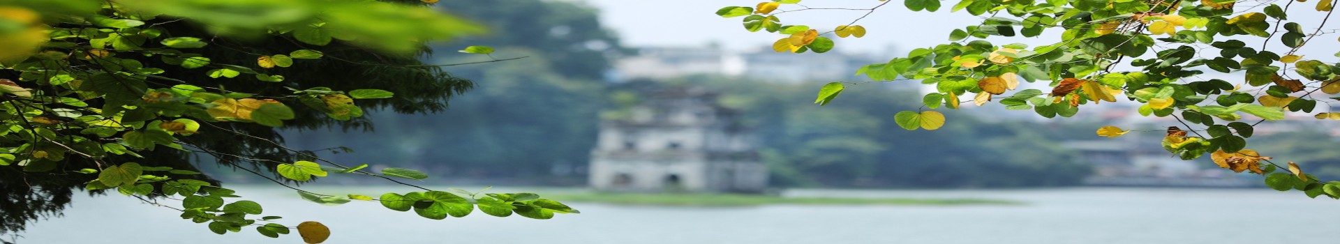 Image Banner default