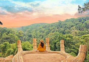 Đặt vé máy bay từ Đà Nẵng đi Đà Lạt cùng Vietnam Booking – khám phá thành phố ngàn hoa