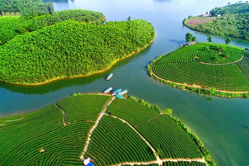 ve may bay tu da nang di vinh