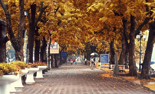 Vé máy bay từ Điện Biên đi Hà Nội