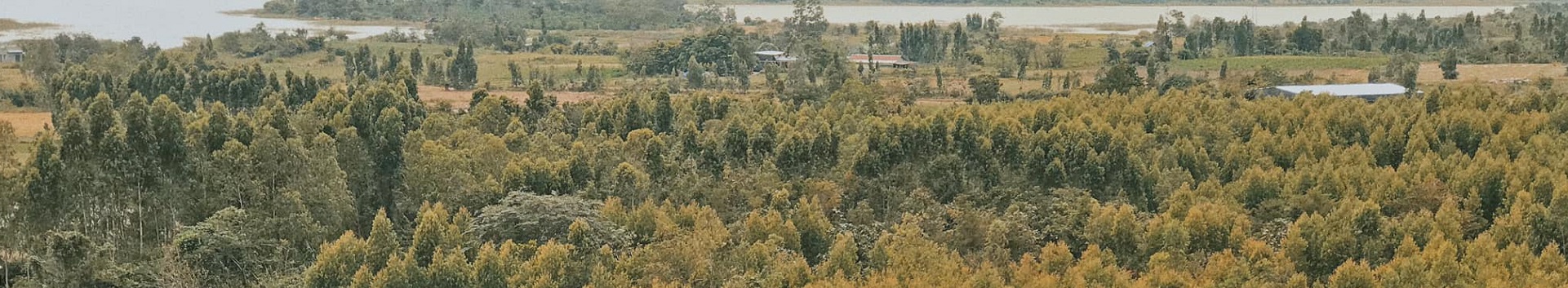 Image Banner default