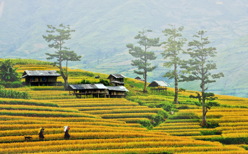 Vé máy bay từ Hải Phòng đi Điện Biên giá rẻ