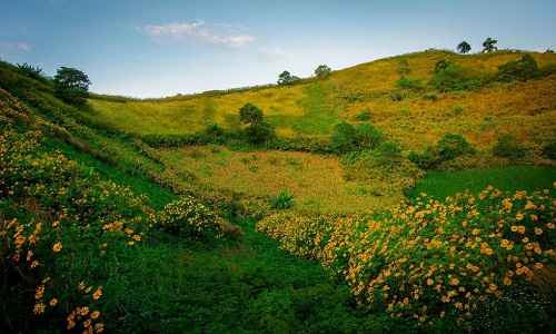 Vé máy bay giá rẻ từ Hải Phòng đi Pleiku