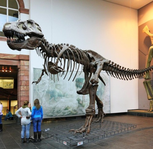 v&eacute; m&aacute;y bay từ TP Hồ Ch&iacute; Minh đi&nbsp;Frankfurt