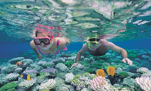 Vé máy bay giá rẻ từ Nha Trang đi Đà Nẵng