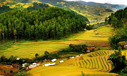 Vé máy bay giá rẻ từ Nha Trang đi Thanh Hóa