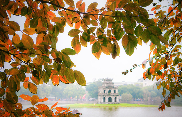 vé máy bay từ Osaka đi Hà Nội