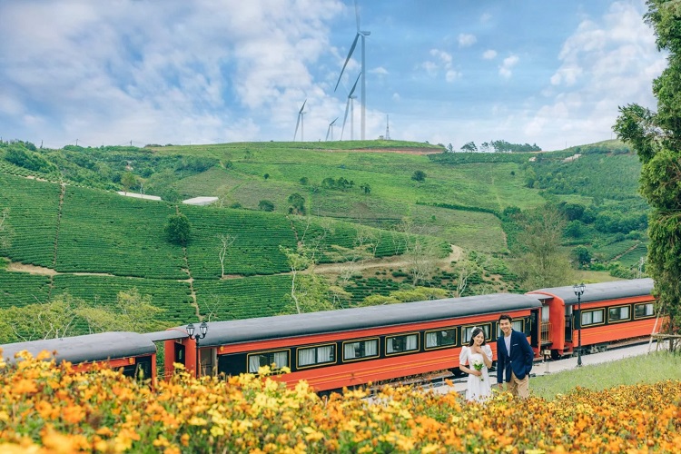 Đồi chè Cầu Đất