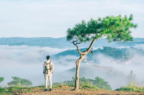 Săn mây đà lạt