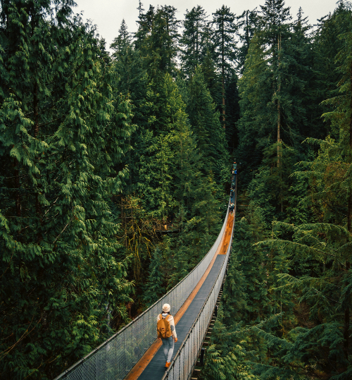 vé máy bay từ Tp Hồ Chí Minh đi Vancouver giá rẻ