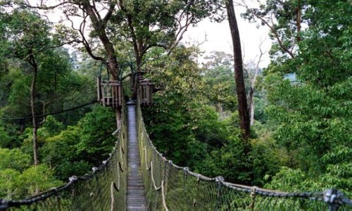 Vé máy bay từ Hồ Chí Minh đi Balikpapan