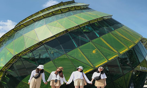 ve may bay tu vinh di da lat