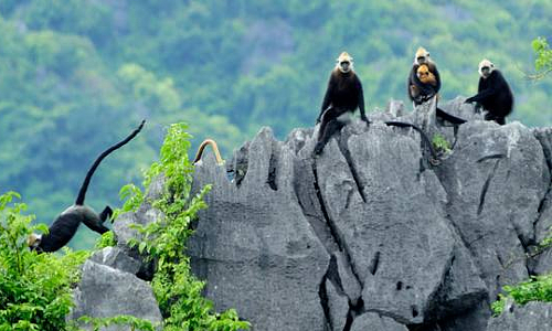 v&eacute; m&aacute;y bay tuy h&ograve;a đi hải ph&ograve;ng