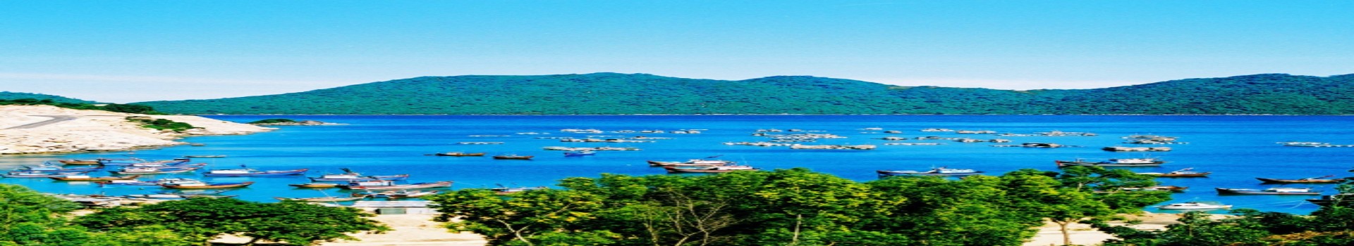 Image Banner default