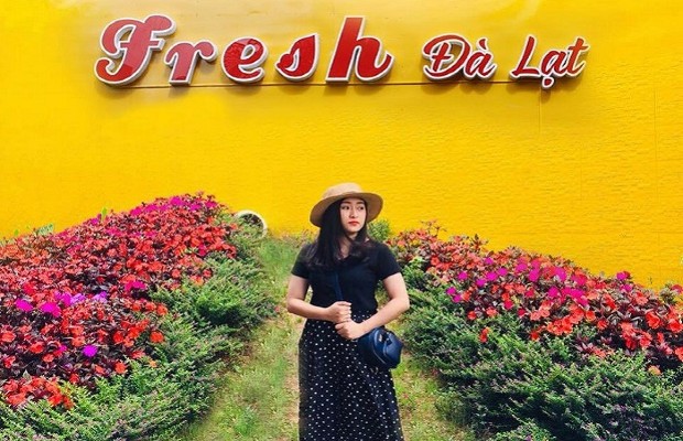 Tour Sài Gòn Đà Lạt 4 ngày 3 đêm | Tham quan Đồi chè Cầu Đất – Fresh Garden – Chùa Linh Phước