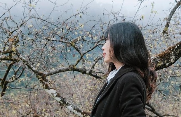 Mùa hoa mận trắng Mộc Châu