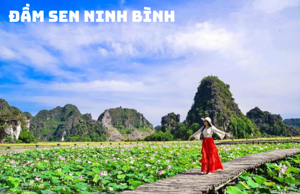 Tour 1 Ngày Bái Đính – Tràng An – Hang Múa: Trải Nghiệm Tuyệt Với Ninh Bình