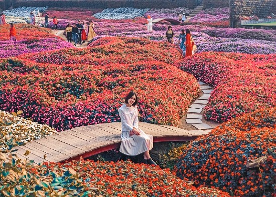 Vé máy bay đài bắc đi hà nội giá rẻ