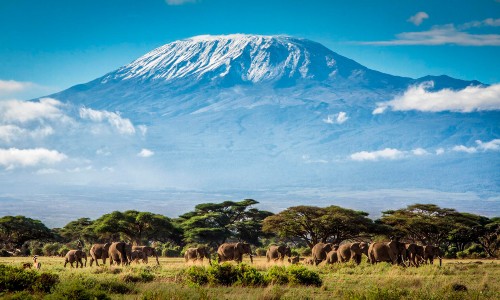V&eacute; m&aacute;y bay gi&aacute; rẻ đi Cameroon