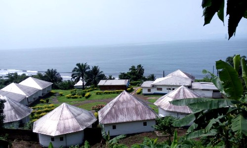 V&eacute; m&aacute;y bay gi&aacute; rẻ đi Cameroon