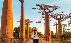Vé máy bay đi Madagascar