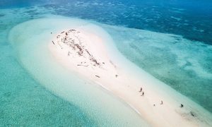 Vé máy bay đi Palau