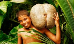 Vé máy bay đi Seychelles