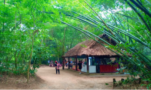 Đặt vé máy bay Moscow đi Hồ Chí Minh giá rẻ