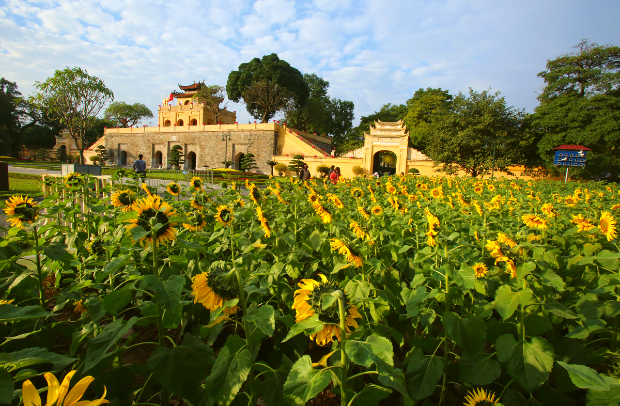 vé máy bay từ Huế đi Hà Nội giá rẻ