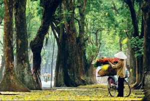 Đặt Vé Máy Bay Thượng Hải (Shanghai) Đi Hà Nội Giá Rẻ