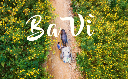 Vườn quốc gia Ba Vì - Vẻ đẹp hoang dã, hùng vĩ vé máy bay từ Thượng Hải đi Hà Nội