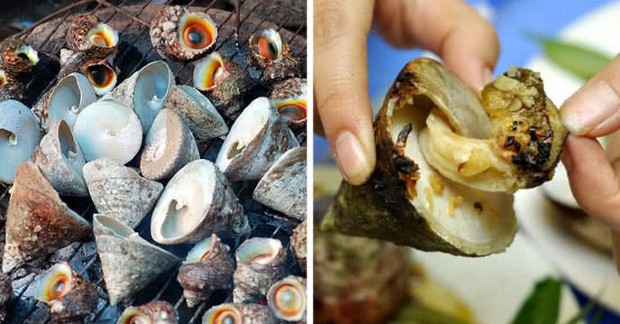 Ốc Vú Nàng kinh-nghiem-du-lich-cu-lao-cham