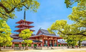 Đặt Vé Máy Bay Đà Nẵng Đi Osaka Giá Rẻ