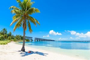 Vé máy bay đi Florida