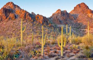 Vé máy bay đi Tucson
