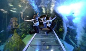 Đặt Vé Máy Bay Hà Nội Đi Birmingham Giá Rẻ