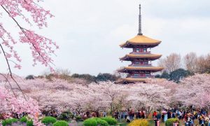 Vé máy bay Hồ Chí Minh đi Vũ Hán giá rẻ