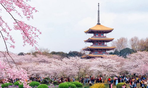 Vé máy bay từ Hồ Chí Minh đi Vũ Hán