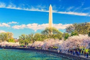 Vé máy bay giá rẻ từ Hà Nội (HAN) đi Washington DC (IAD)